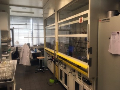lab2.JPG